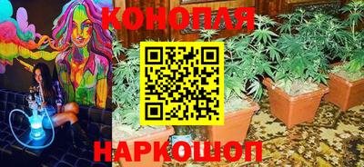 Альфа ПВП Кимры