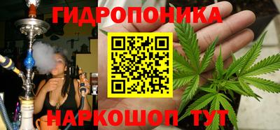 Альфа ПВП Кимры